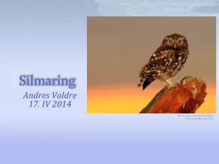 silmaring