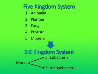 Five Kingdom System
