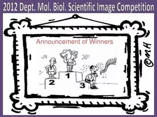 2012 Dept . Mol. Biol. Scientific Image Competition