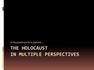 The holocaust in multiple perspectives