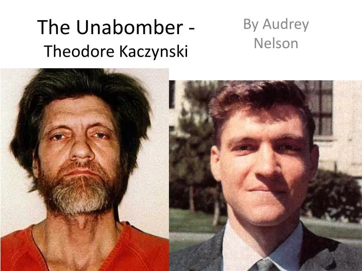 the unabomber theodore kaczynski