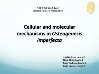 Ano letivo 2012-2013 Biologia celular e molecular II