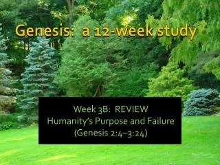 Genesis: a 12-week study