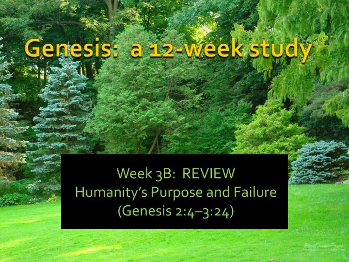 week 3b review humanity s purpose and failure genesis 2 4 3 24