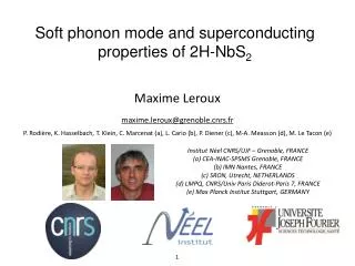 Soft phonon mode and superconducting properties of 2H-NbS 2