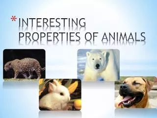 INTERESTING PROPERTIES OF ANIMALS