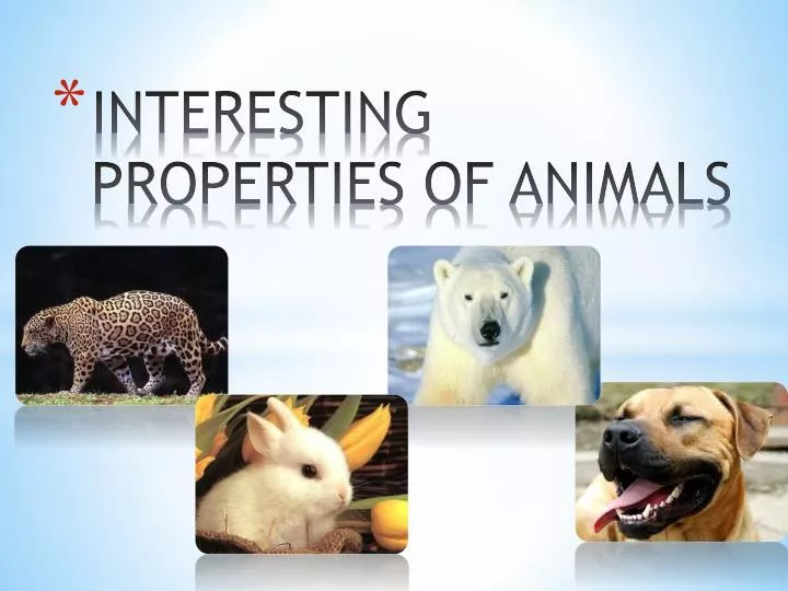 interesting properties of animals