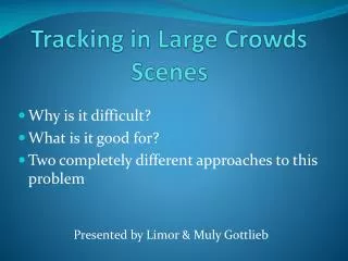 Tracking in Large Crowds Scenes