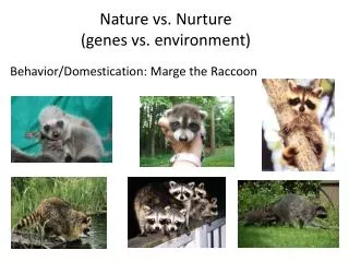 Nature vs. Nurture (genes vs. environment)