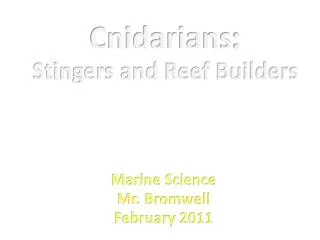 Cnidarians : Stingers and Reef Builders