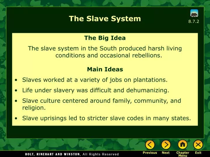 the slave system