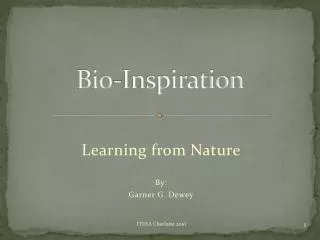 Bio-Inspiration