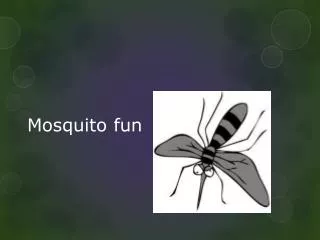 Mosquito fun