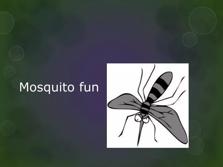 mosquito fun