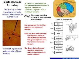 Measures electrical activity of neurons near electrode tip