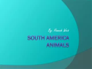 South America Animals