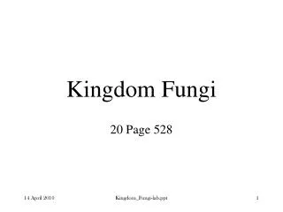 kingdom fungi