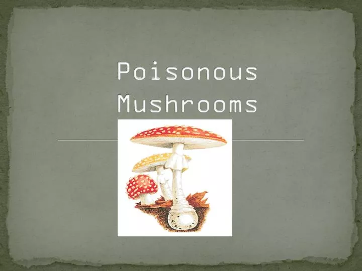 poisonous mushrooms