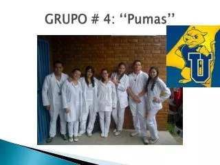 grupo 4 pumas