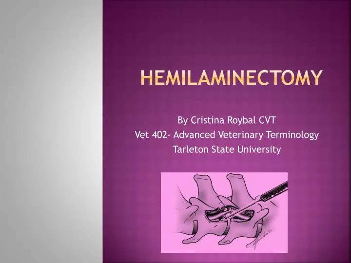 hemilaminectomy