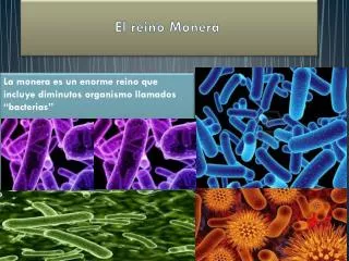 el reino monera