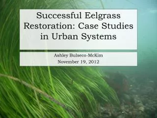 Successful Eelgrass Restoration: Case Studies in Urban Systems