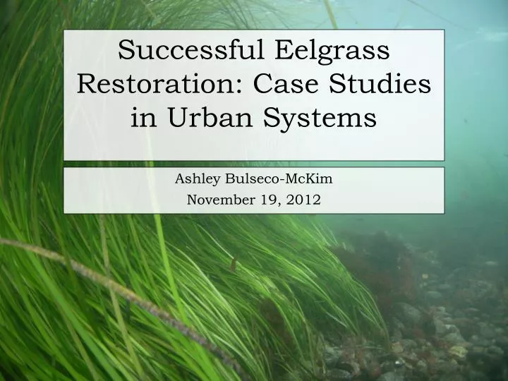 successful eelgrass restoration case studies in urban systems