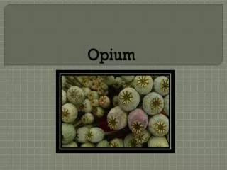 Opium