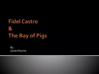 Fidel Castro &amp; The Bay of Pigs