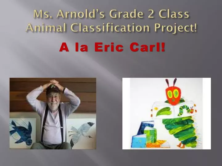 ms arnold s grade 2 class animal classification project