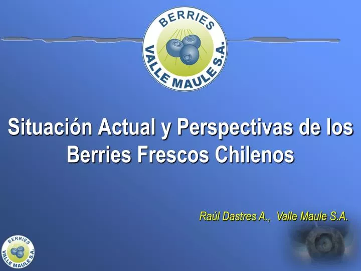 situaci n actual y perspectivas de los berries frescos chilenos