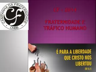 cf 2014 fraternidade e tr fico humano