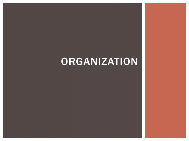 organization