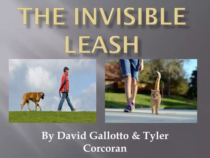 the invisible leash