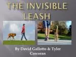 The Invisible Leash - slide 1