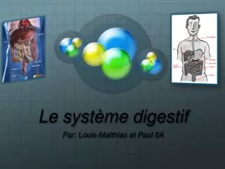 le syst me digestif