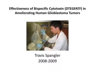 Effectiveness of Bispecific Cytotoxin (DTEGFATF) in Ameliorating Human Glioblastoma Tumors