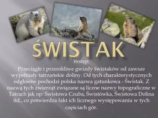 wistak