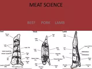 MEAT SCIENCE