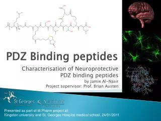 PDZ Binding peptides