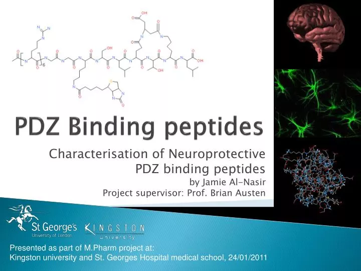 pdz binding peptides