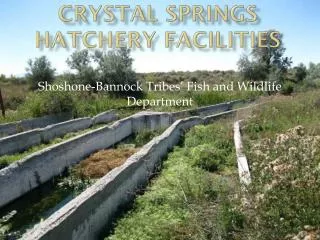 Crystal Springs Hatchery Facilities