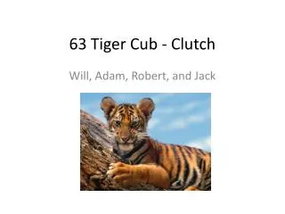 63 Tiger Cub - Clutch