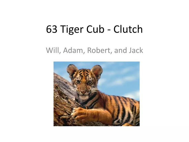 63 tiger cub clutch