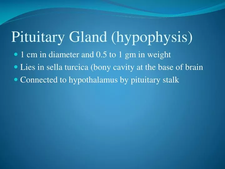 pituitary gland hypophysis