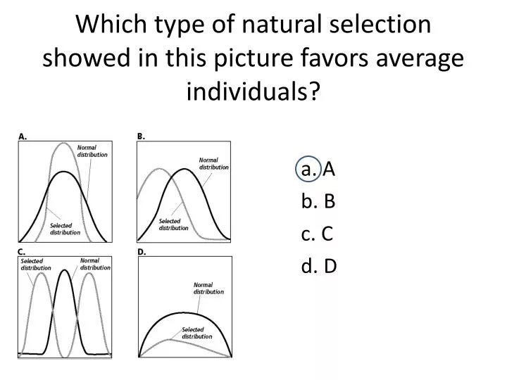 which type of natural selection showed in this picture favors average individuals