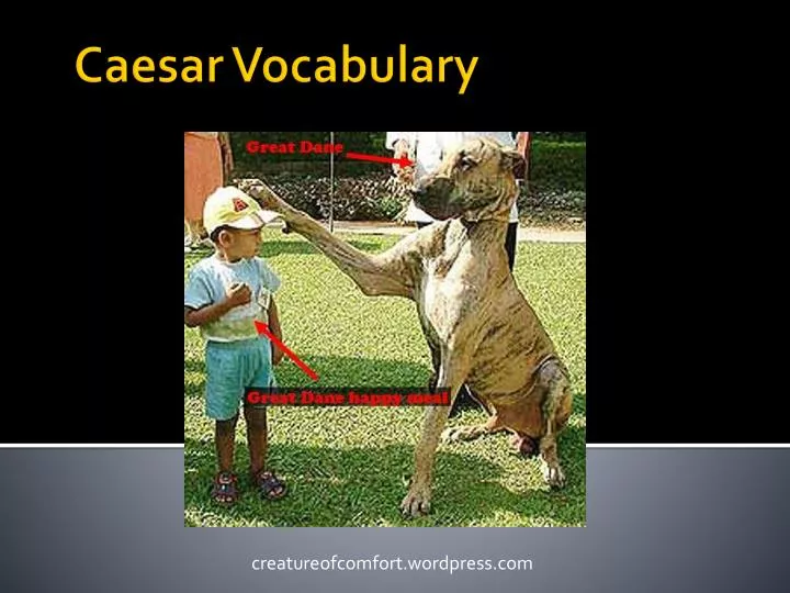 caesar vocabulary