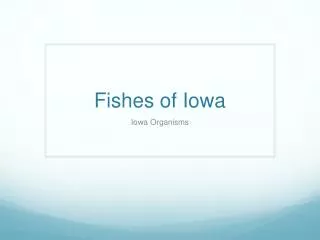 Fishes of Iowa