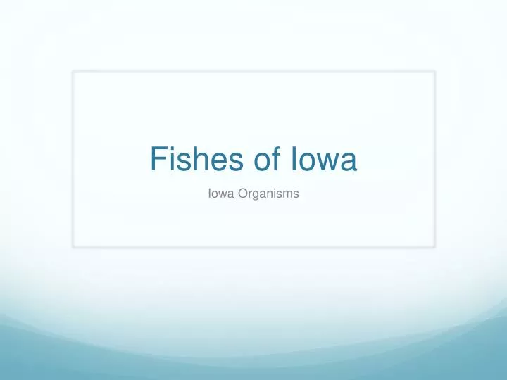fishes of iowa