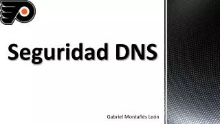 seguridad dns